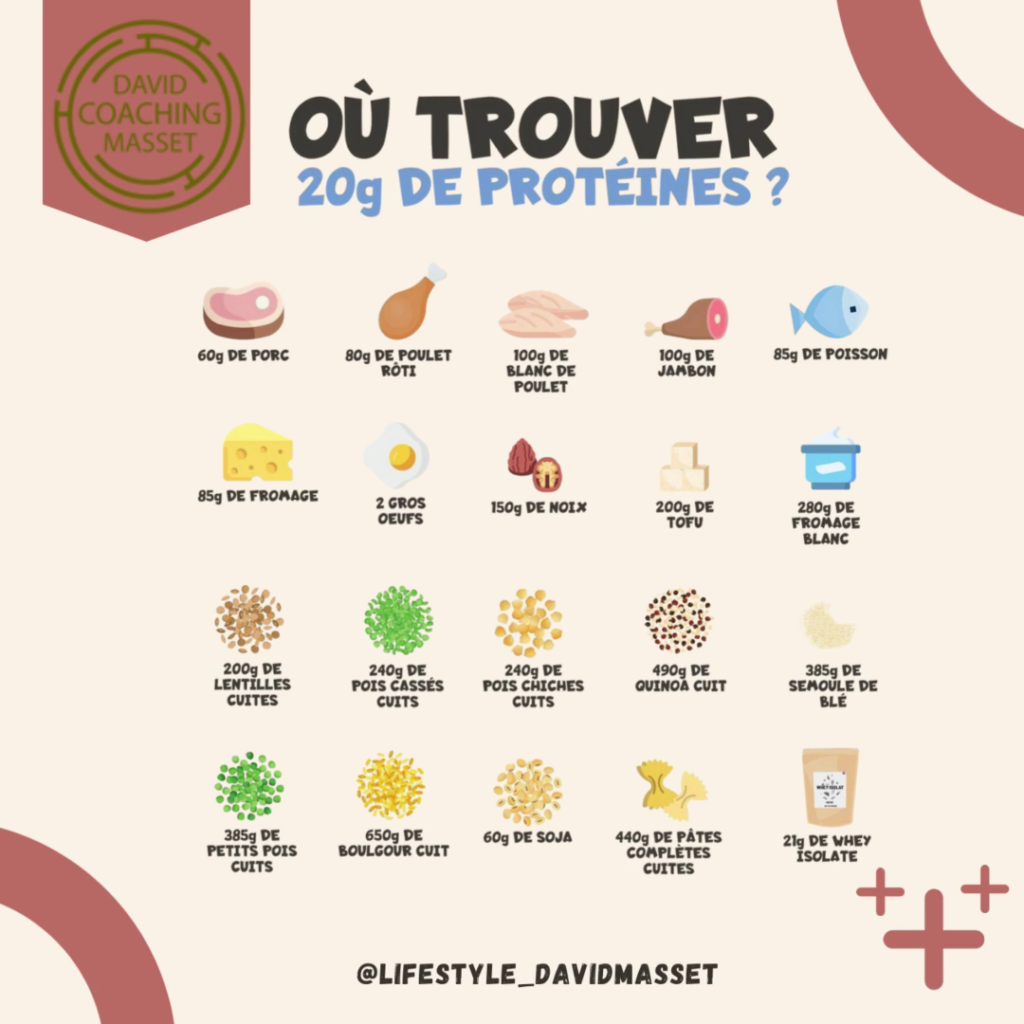 OU TROUVER 20 GRAMMES DE PROTEINES